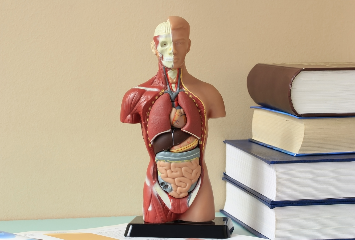 CORSO RAFFORZATIVO 60 ORE MEDICINA, ODONTOIATRIA E MED-TEC